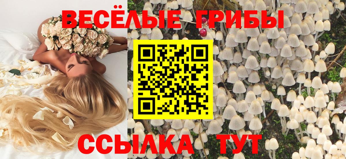 Галлюциногенные грибы мухоморы Касимов
