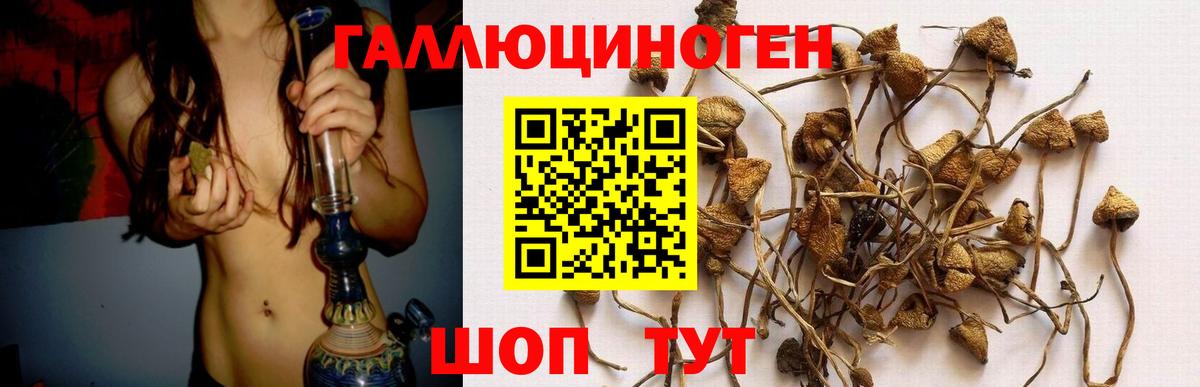 Галлюциногенные грибы ЛСД  Галлюциногенные грибы MAGIC MUSHROOMS  Касимов  Вход с VPN 
